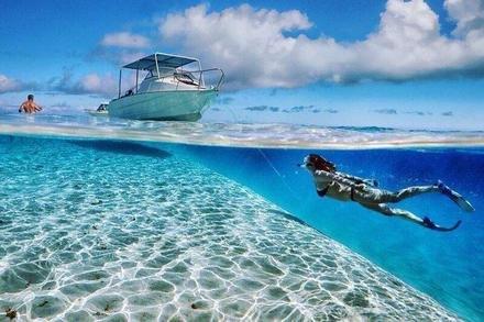 Bishops Cruises